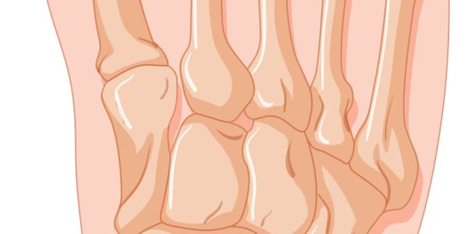 Dna Moczanowa: Kompleksowy Przegląd